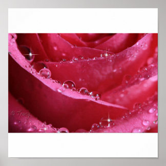 Pôster Through The Window Of Light