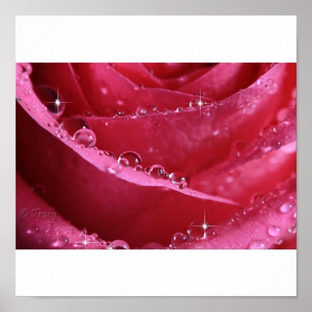 Pôster Through The Window Of Light (Frente)