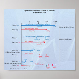Pôster THTBloodstock Equine Communication Chart