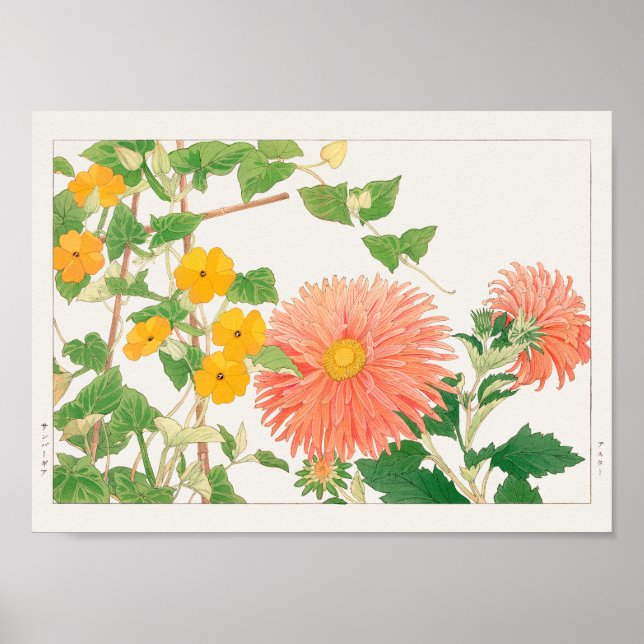 Poster Thunbergia, China aster por Tanigami Konan (Frente)