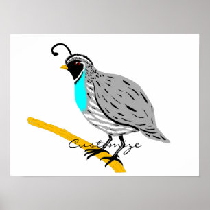 Poster Thunder_Cove da Quail com garganta azul