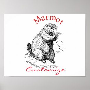 Poster Thunder_Cove de Animais Marmotes