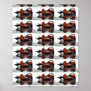 Poster Thunder_Cove do Pato da Madeira