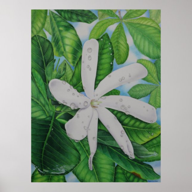 Pôster Tiare Tahiti (Frente)