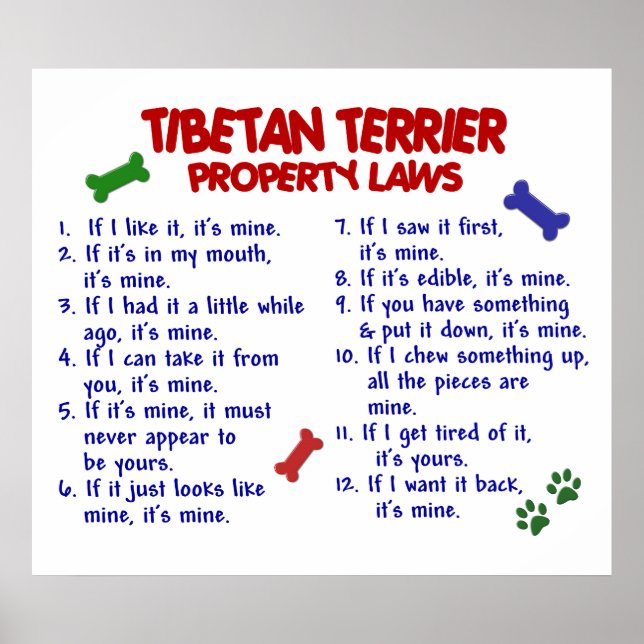POSTER TIBETAN TERRIER PL2 (Frente)