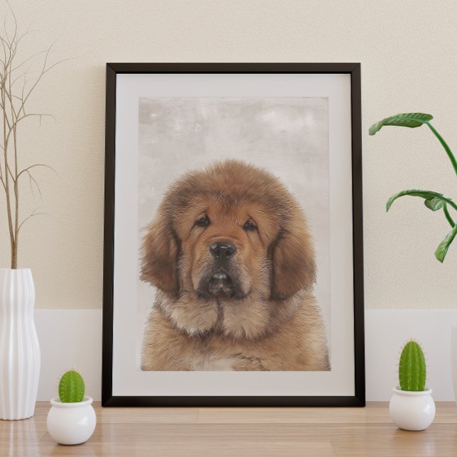 Pôster Tibetano Mastiff Poster (Criador carregado)