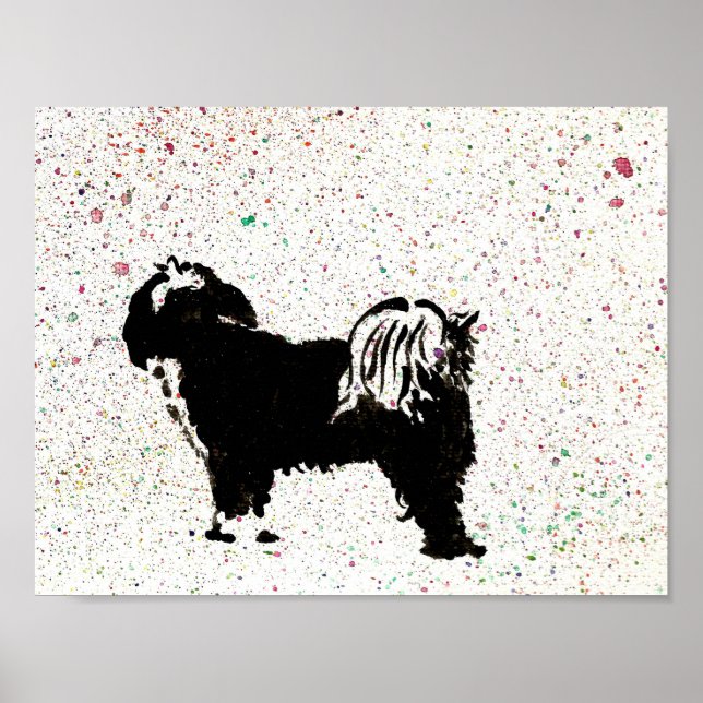 Poster Tibetano Terrier - Olhando para fora (Frente)