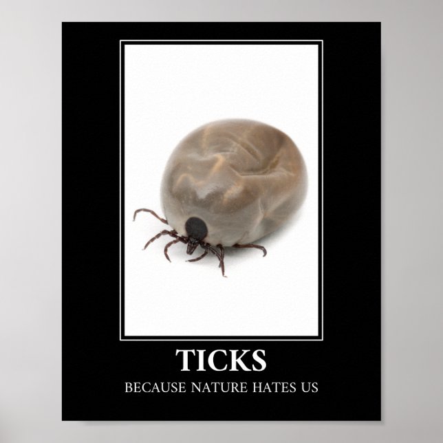 Poster Ticks Porque A Natureza Nos Odeia - Divertimento P (Frente)