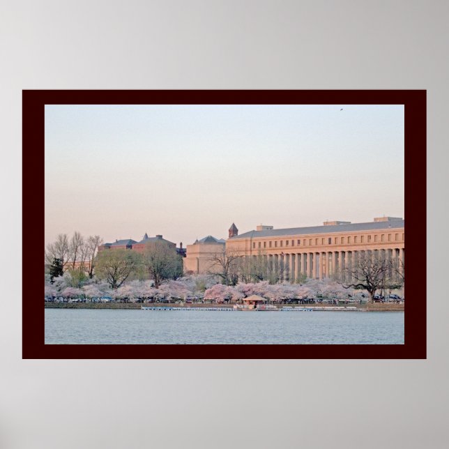 Pôster Tidal Basin (Frente)