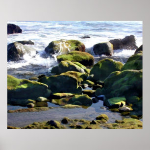 Pôster Tidepools litoral