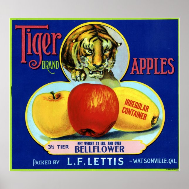 Pôster Tiger Apples Watsonville California (Frente)