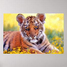 Poster Tiger Baby Cub