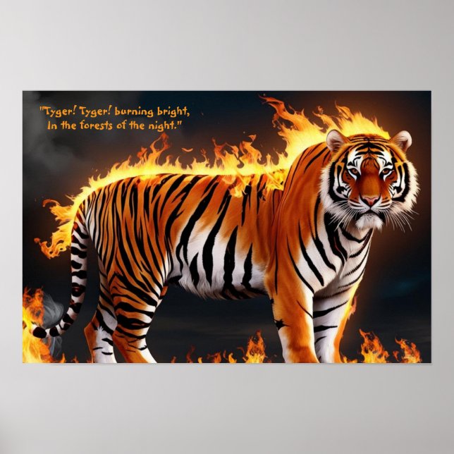 Poster Tiger Burning (Frente)