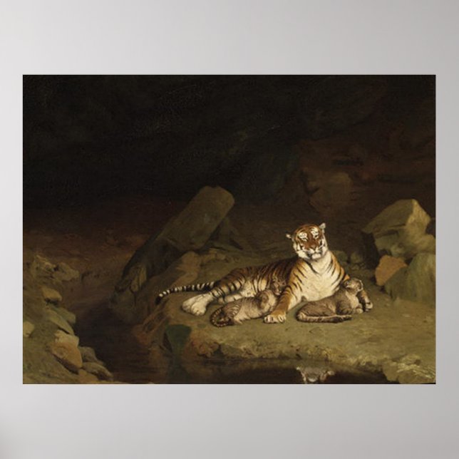 Pôster Tiger e Cubs Jean-Leon Gerome 1884 (Frente)