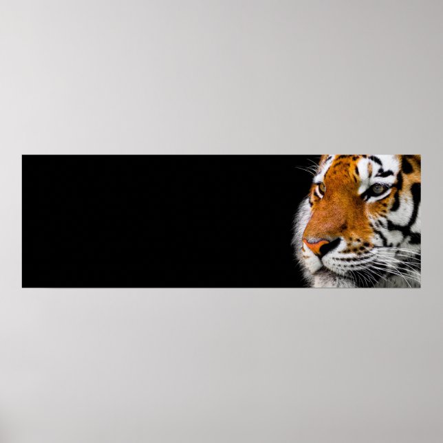 Poster Tiger Eyes Selvagem Arte Animal Liderança (Frente)