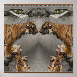 PÔSTER TIGER FACE OFF HIDDEN IMAGE
