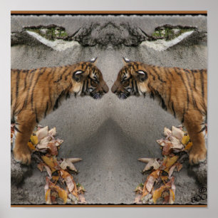 PÔSTER TIGER FACE OFF HIDDEN IMAGE