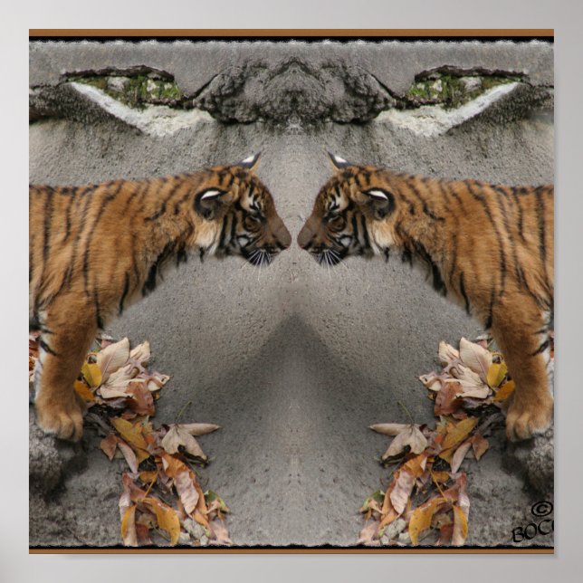 PÔSTER TIGER FACE OFF HIDDEN IMAGE (Frente)