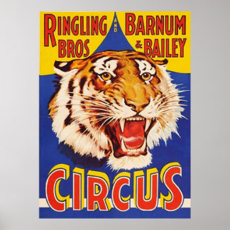Poster TIGER GROUS Circus Ringling Bros Circus Animal Vin