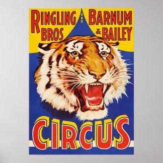 Poster TIGER GROUS Circus Ringling Bros Circus Animal Vin