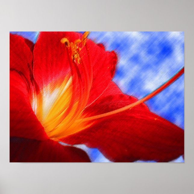 Poster Tiger Lily "drawing" (Frente)