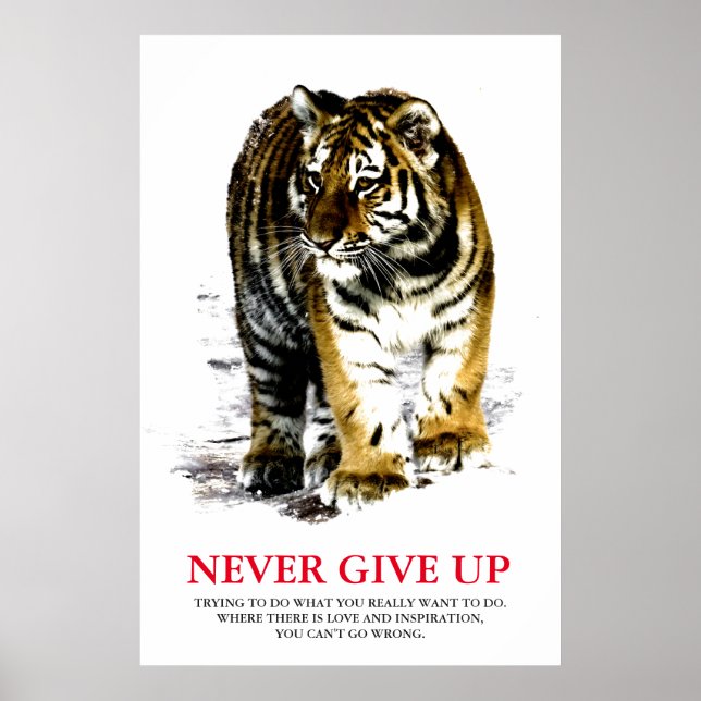 Poster Tiger Nunca Desiste De Motivação (Frente)