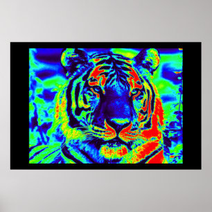 Pôster Tiger Spirit