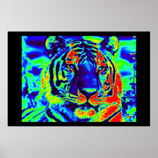 Pôster Tiger Spirit