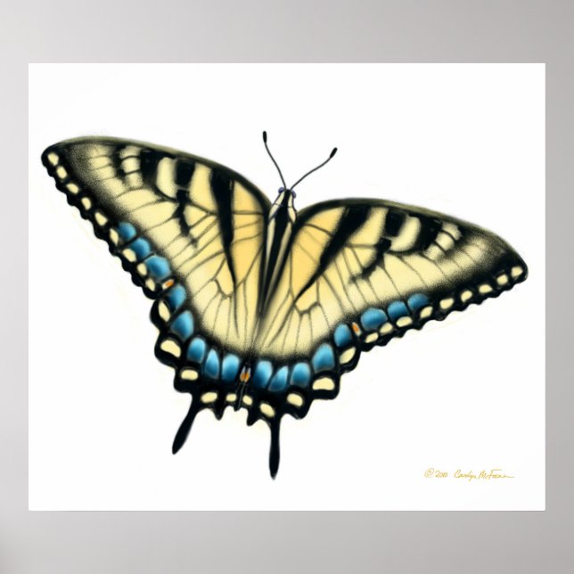 Poster Tiger Swallowtail Butterfly Print (Frente)
