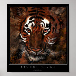 Pôster Tiger, Tigre