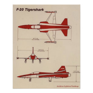 Pôster tigershark f20