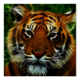 PÔSTER TIGRE