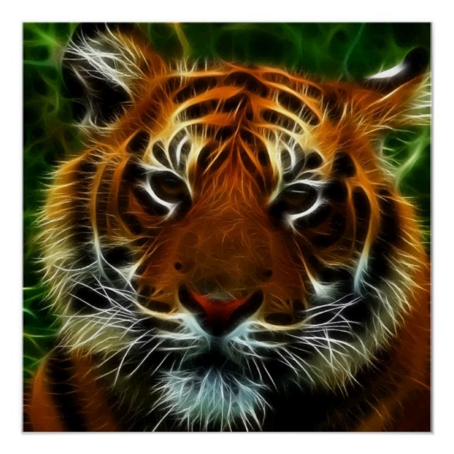 PÔSTER TIGRE (Frente)