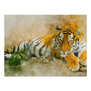 Pôster Tigre