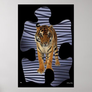 Poster Tigre