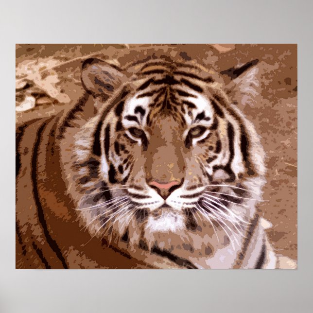 Poster Tigre (Frente)