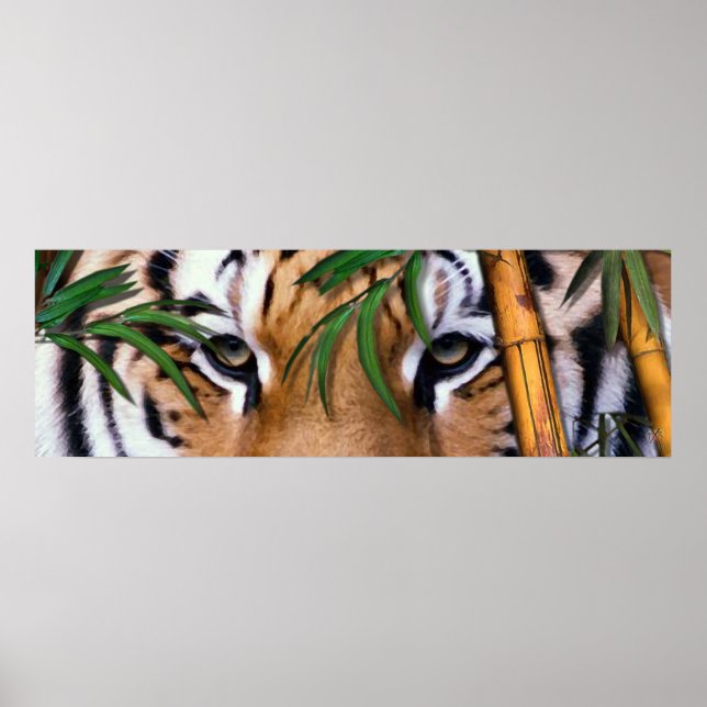 Pôster tigre (Frente)