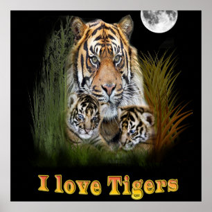 Poster tigre