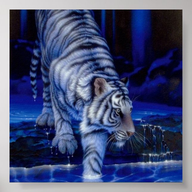 Poster Tigre (Frente)