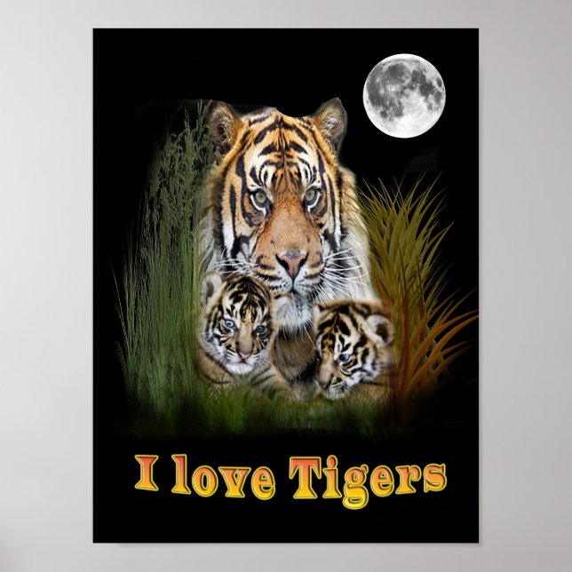 Poster tigre (Frente)
