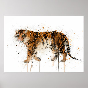 Poster Tigre