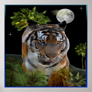 Pôster Tigre