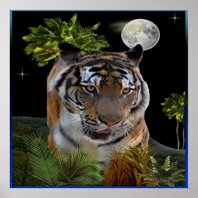 Pôster Tigre (Frente)