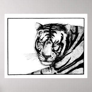 Poster Tigre