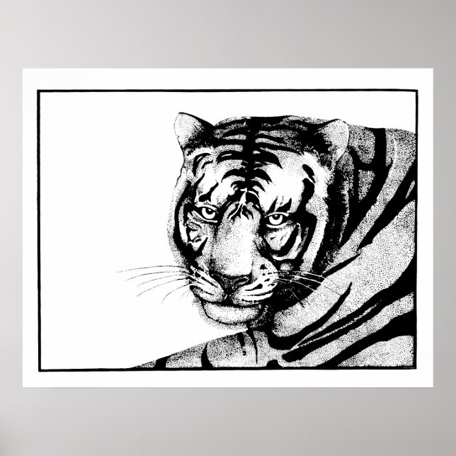 Poster Tigre (Frente)