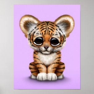Poster Tigre adorável Cub do bebê no roxo