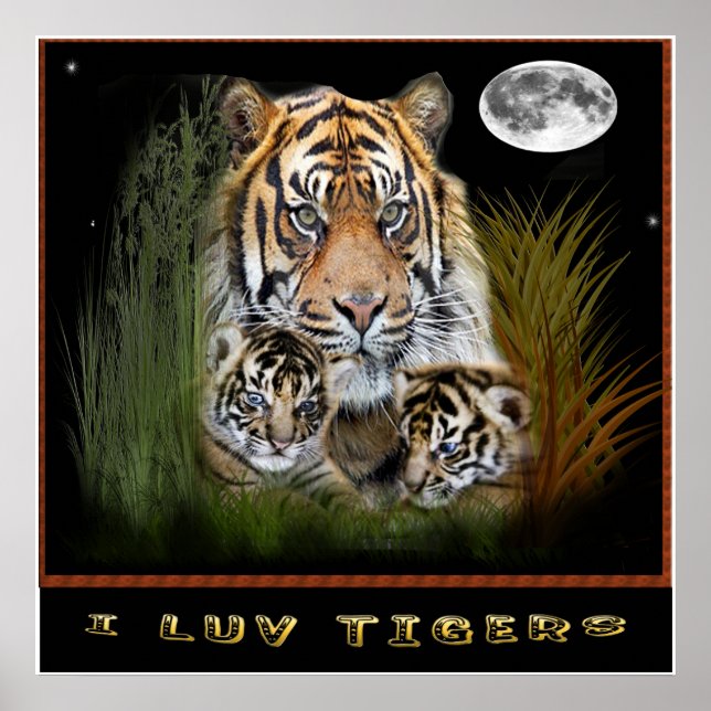 Pôster Tigre art (Frente)