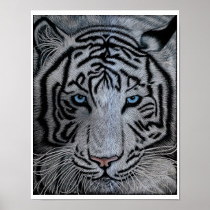 Poster Tigre Branco - Casper