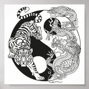 Poster Tigre branco versus dragão verde no yin yang