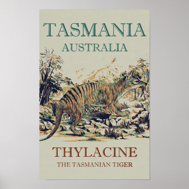 Poster Tigre da Tasmânia, tilacina, Tasmânia Austrália (Frente)